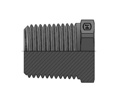 HT5406-P EXTERNAL HEX PIPE PLUG